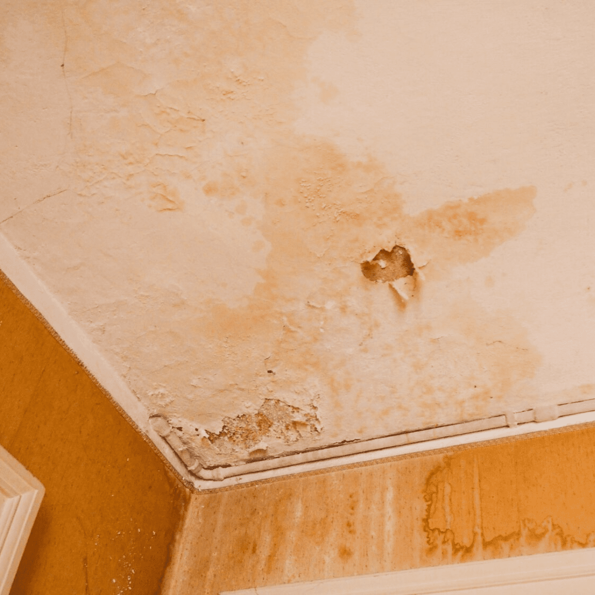 Sanidetect lekdetectie - Vochtprobleem aan plafond detecteren